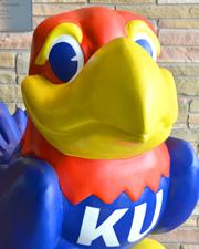 Jayhawk Placeholder Image